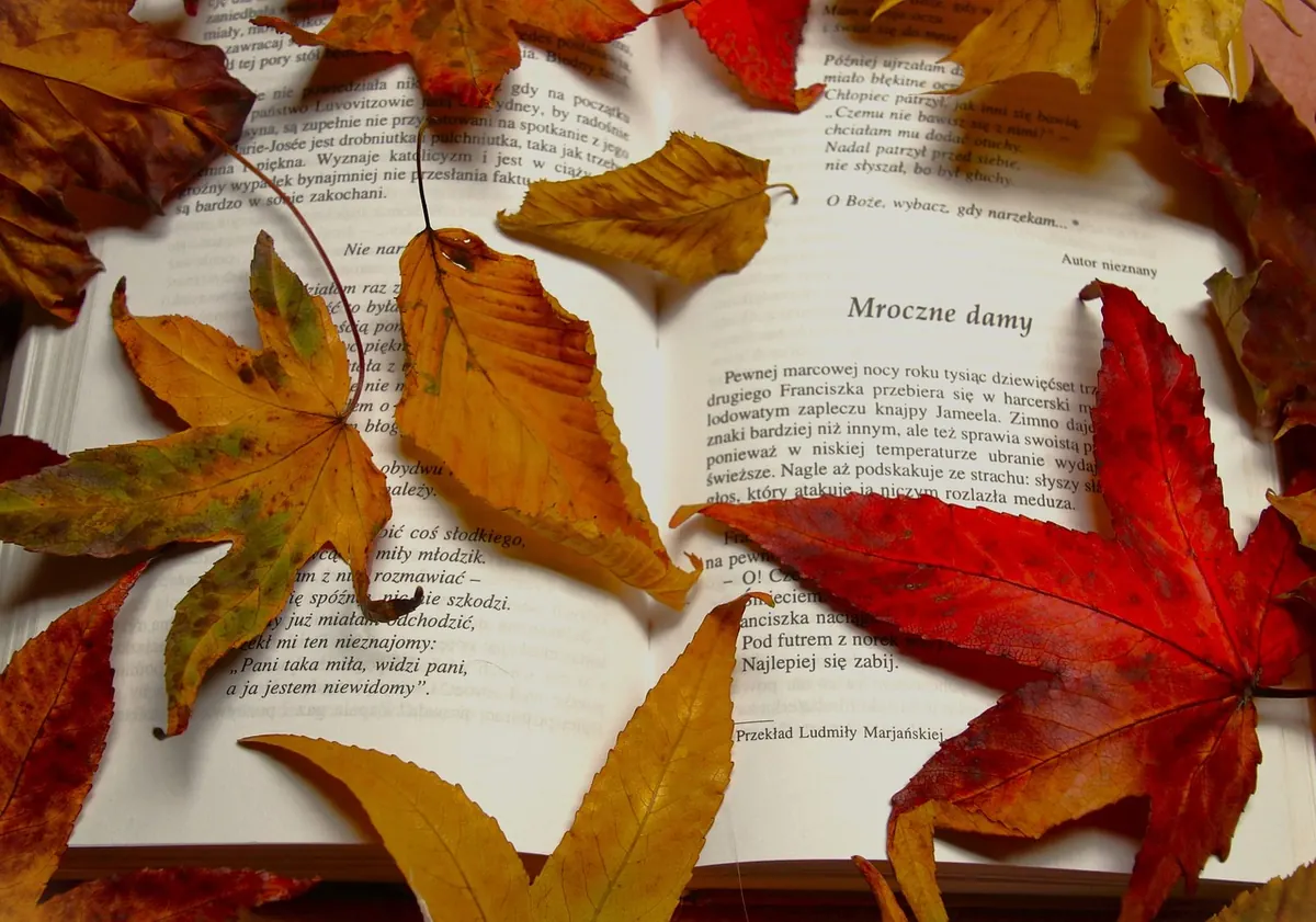 Writing Seasonal Poetry: How to Capture British Weather and Holidays in Verse
